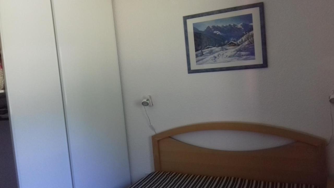Appartement 24 Les Chalets Du Jardin Alpin La Salle-les-Alpes Eksteriør billede